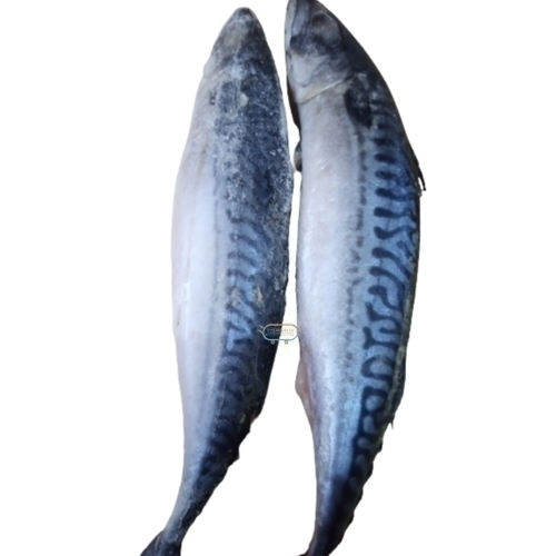 /media/products/FISH-FRZ-ORIGINAL-SARDINE.jpg