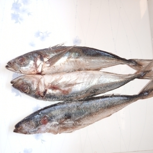 /media/products/FISH-MACKEREL-FRZ-KG.jpg